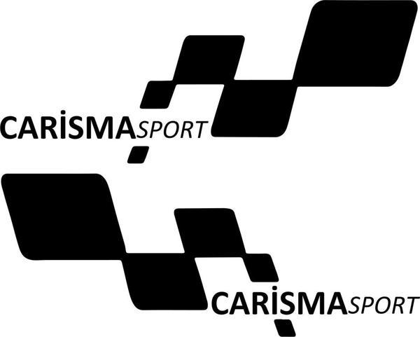 carisma sport Etiket Yapıştırma 30cmx11cm MMD174 - Image 1