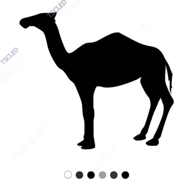 Boynu Eğri Deve Sticker 15 cm - Image 1