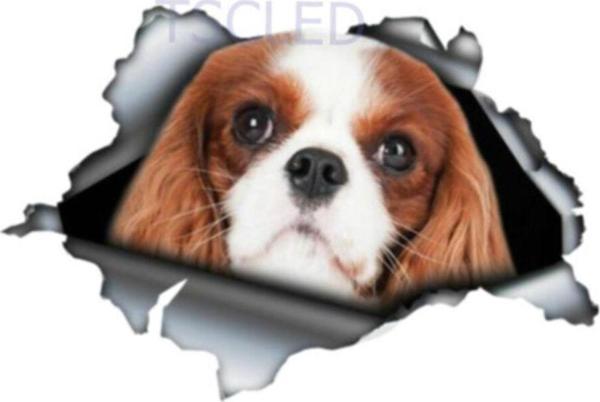 Cavalier King Charles Pet Araba Çıkartmaları - Image 1
