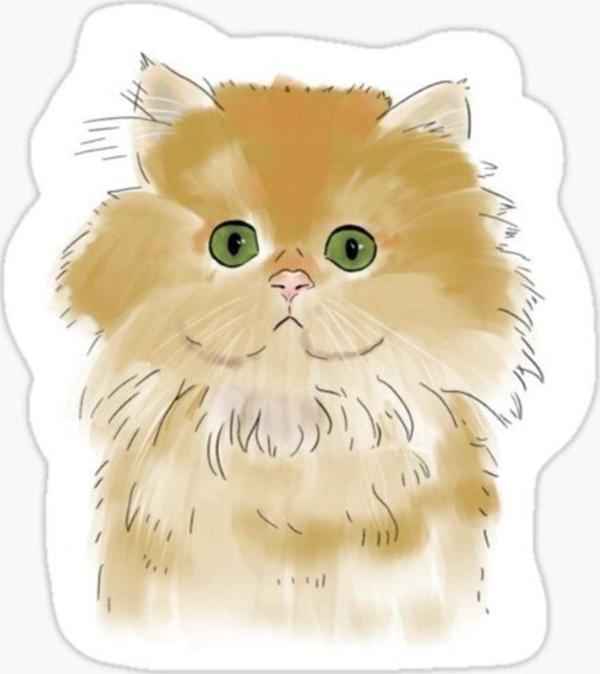Cins Kedi Iran Kedisi Araba Oto Sticker Etiket Renkli V7 - Image 1