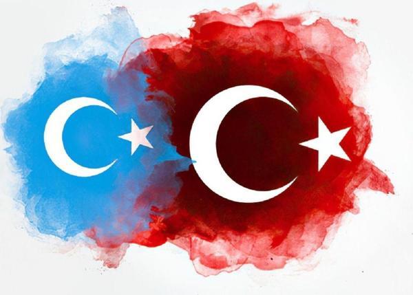 Doğu Türkistan ve Türk Bayrağı Sticker Yapıştırma 19 CM - Image 1