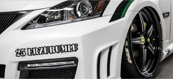 Erzurumlu 25 Plaka Araba Oto Sticker Yapıştırma 2 Adet - Image 1