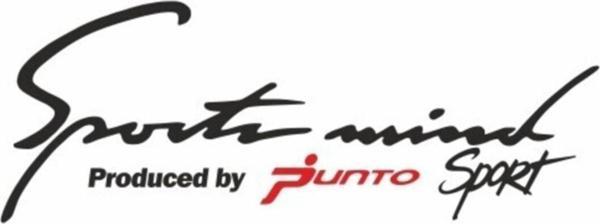 Fiat Punto Sports Mind Oto Sticker Araba Yapıştırma - Image 1