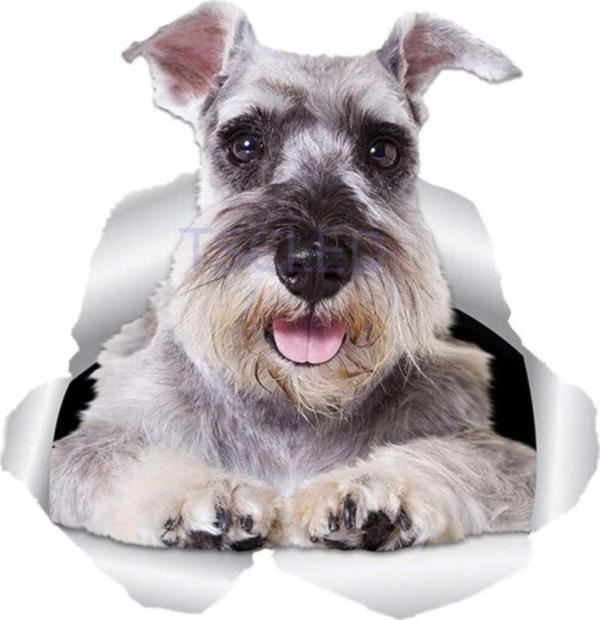 Komik Schnauzer Köpek Su Geçirmez Sticker Yapıştırma - Image 1