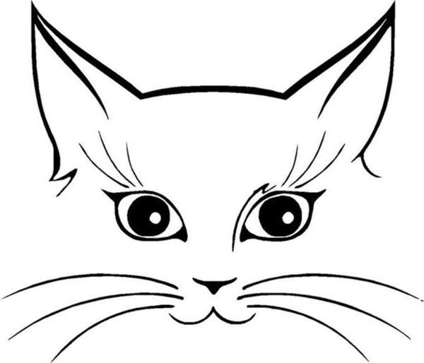 Kedi Araba Oto Sticker Yapıştırması 18cm - Image 1