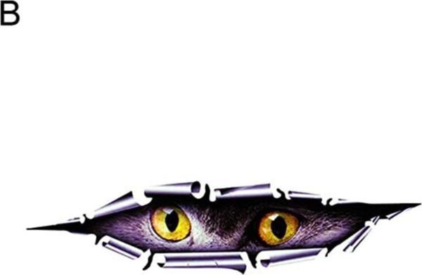 Model2 Baykuş Araba Oto Sticker Yapıştırma Renkli - Image 1