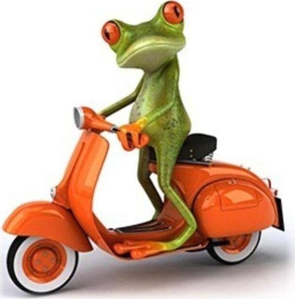 Motorcu Kurbağa Araba Oto Sticker Yapıştırma - Image 1