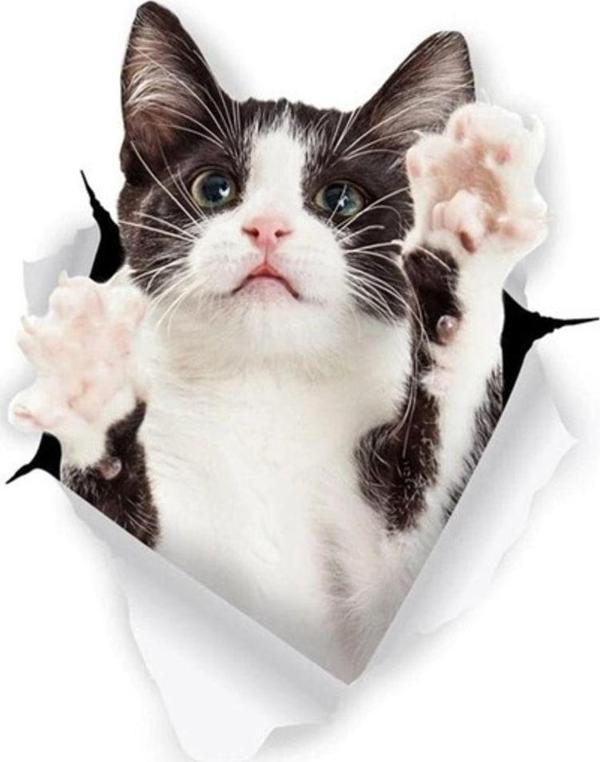 Kedi Oto Araba Sticker Yapıştırması 18cm Renkli - Image 1