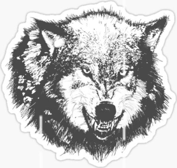 Öfkeli Kızgın Kurt Araba Sticker Oto Yapıştırması 18cm X2 - Image 1