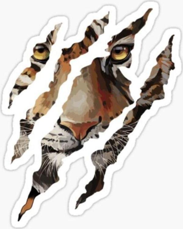 Pençe Kaplan Araba Oto Sticker Yapıştırma Etiket 17cm T16 - Image 1