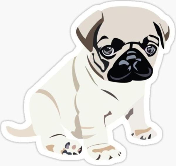 Pug Irkı Cinsi Köpek Sticker Araba Oto Yapıştırması 17cm A2 - Image 1