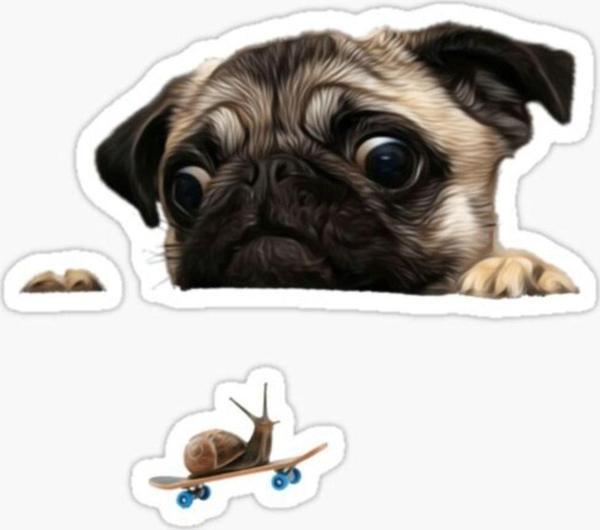 Pug Irkı Cinsi Köpek Sticker Araba Oto Yapıştırması 17cm B3 - Image 1