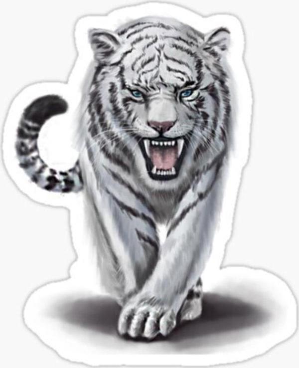 Renkli Kaplan Araba Oto Sticker Yapıştırma Etiket 17cm D6 - Image 1