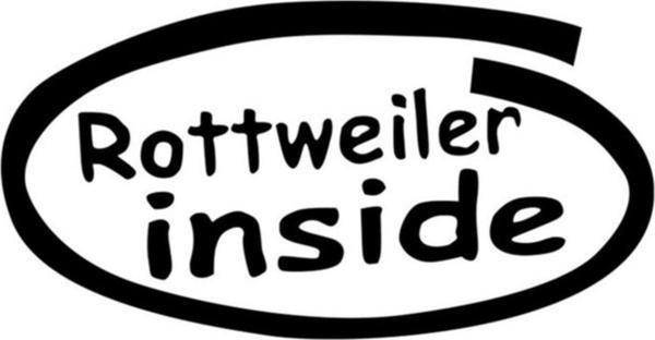 Rottweiler Içinde Sticker Arabada Yapıştırma 2 - Image 1