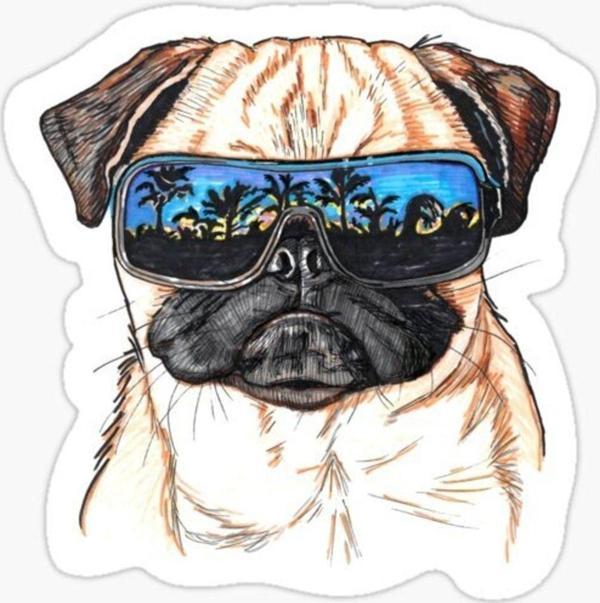 Pug Irkı Cinsi Köpek Sticker Araba Oto Yapıştırması 17cm N2 - Image 1