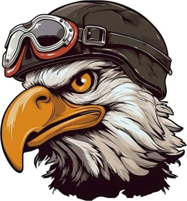 Pilot Kartal sticker Araba, Motorsiklet, AraçEtiket Cam Sticker 19CM - Image 1