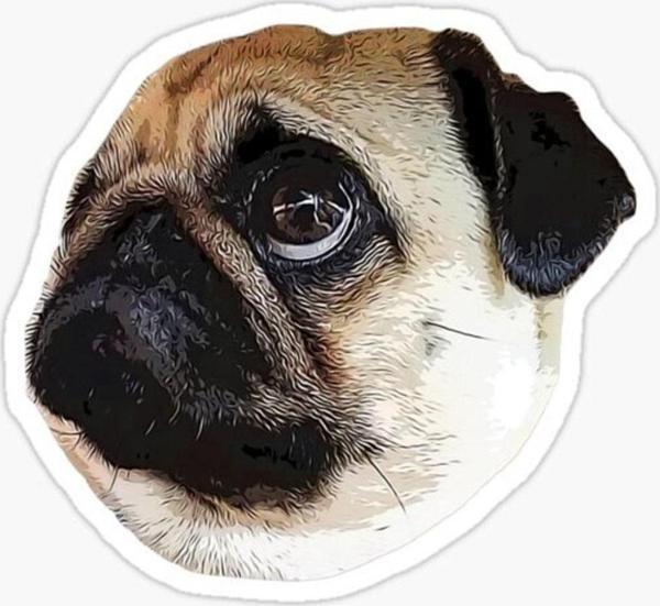 Pug Irkı Cinsi Köpek Sticker Araba Oto Yapıştırması 17cm Z3 - Image 1
