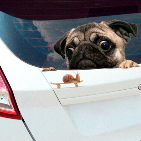 Salyangoza Bakan Pug Cinsi Köpek Araba Sticker 20cm - Image 1