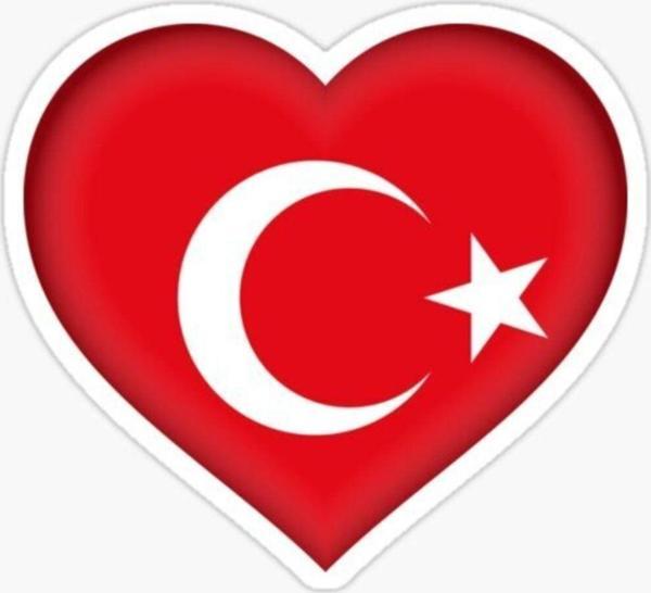 Türkiye Bayrak Sticker Oto Etiket Araba Yapıştırma 16cm - Image 1