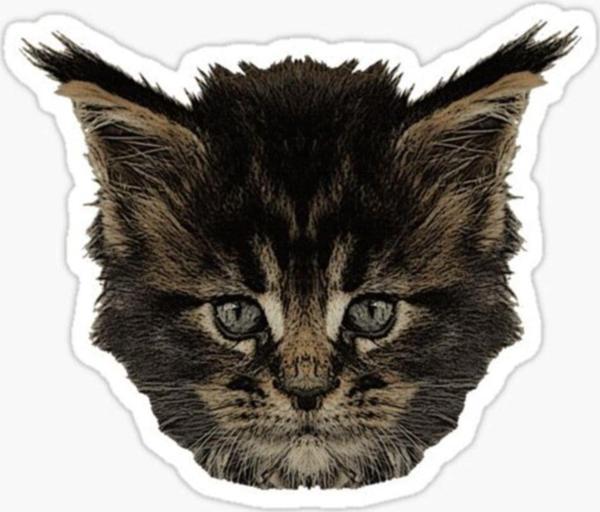 Ufak Bebek Kedi Araba Oto Sticker Etiket Renkli A1 - Image 1