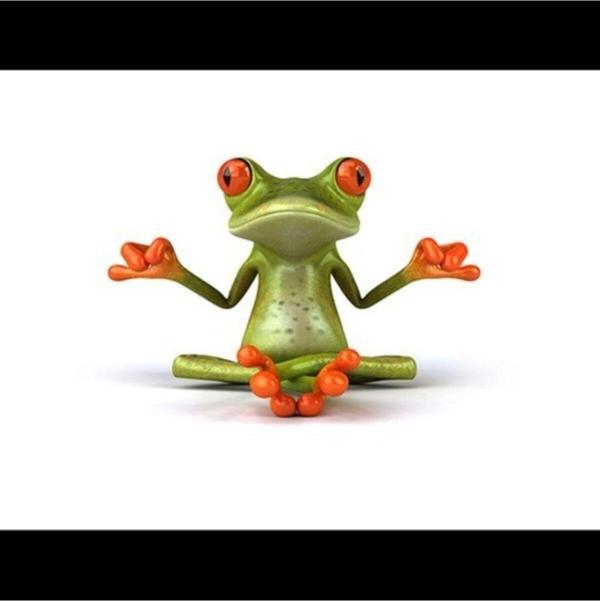 Yoga Yapan Kurbağa Araba Oto Sticker Yapıştırma - Image 1