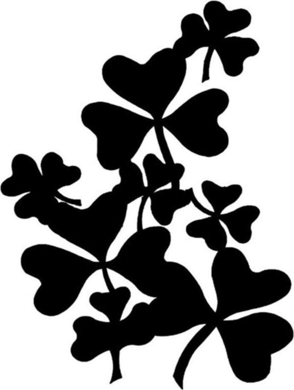 Yonca Araba Sticker Yapıştırması 2 - Image 1