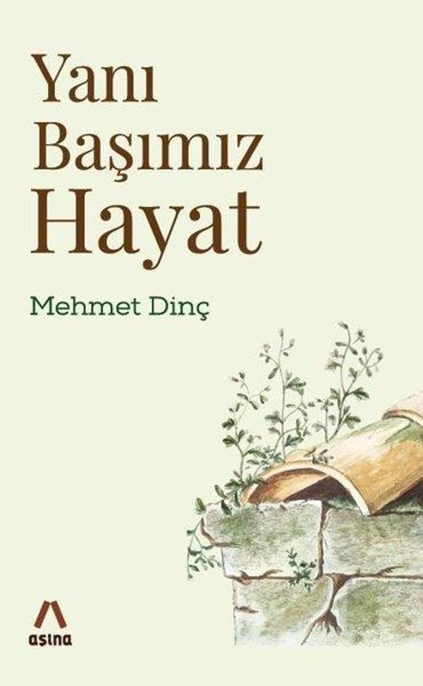 Yanı Başımız Hayat - Aşina - Image 1