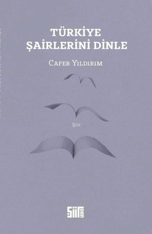 Türkiye Şairlerini Dinle - Şiirden Yayınları - Image 1