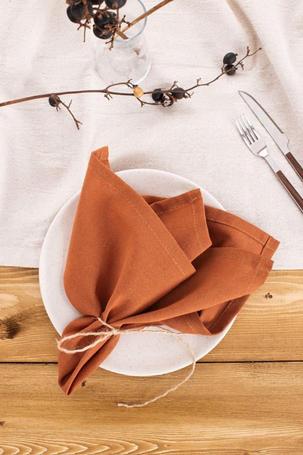 Wellstil Premium | 2'Li Keten Tarçın Peçete 40 X 40 Cm - Image 1