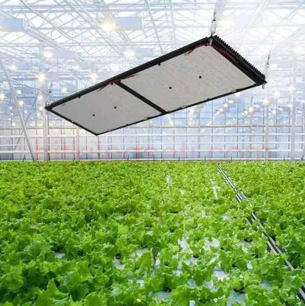 LH-GL-P2000 Bitki Yetiştirme Ledi 200W - Image 1