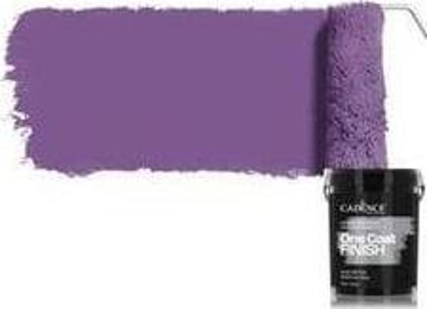 ONE COAT FINISH AKRİLİK İÇ CEPHE BOYASI OCF-11 ROMANS 2.5LT - Image 1