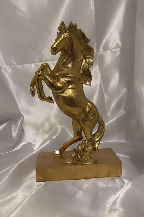 Kaideli Şahlanan KırAt Gold Yeleli - Image 1