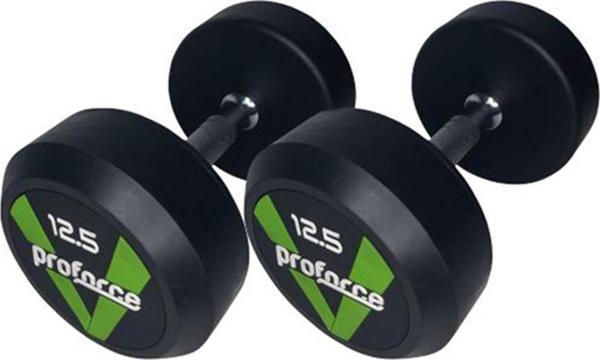 Dambıl Ağırlık DB12,5 ( Adet ) - Image 1