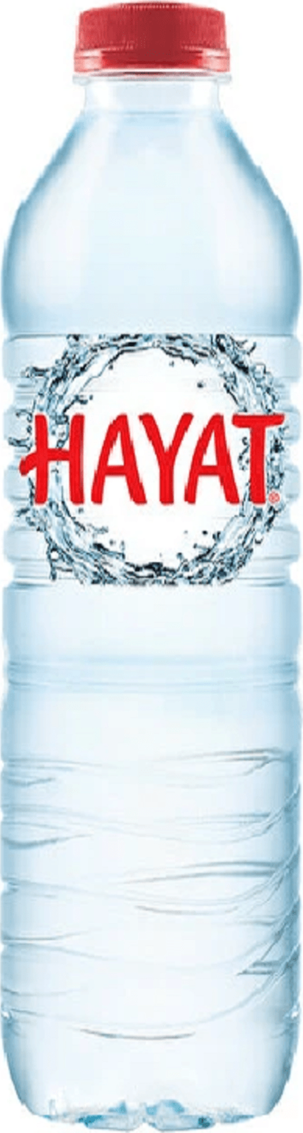 Hayat Su 0,5 Lt - Image 1