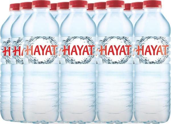 Hayat Su 500 Ml 12'Li - Image 1