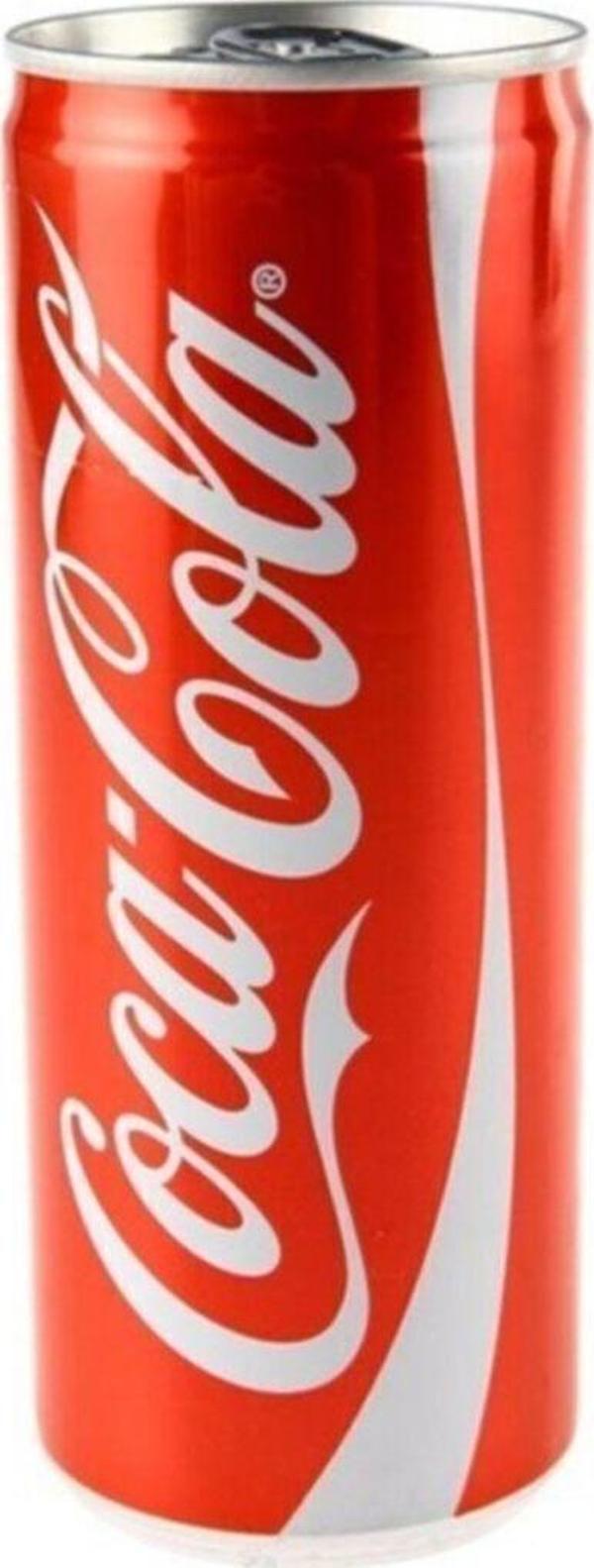 Coca-Cola 200 Ml Kutu 24 Adet - Image 1