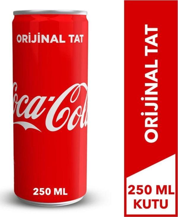 Coca-Cola Coca-Cola 250 Ml Kutu - Image 1