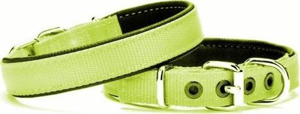 Yumuşak Doku Köpek Boyun Tasması 2/45 cm Yeşil - Image 1