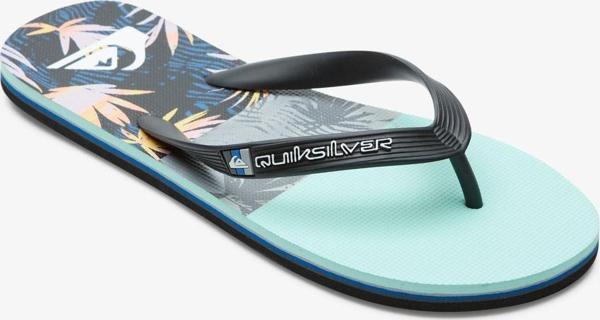 Quiksilver MOLOKAI PANEL Erkek Ayakkabı AQYL101263-QK.XKBS - Image 1
