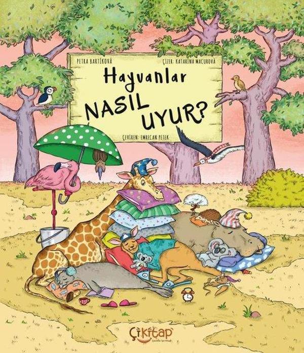 Hayvanlar Nasıl Uyur? - Çi Kitap Yayınları - Image 1
