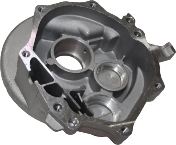 Msr Şanzıman Kapağı Kuba Zenzero 125 - Image 1
