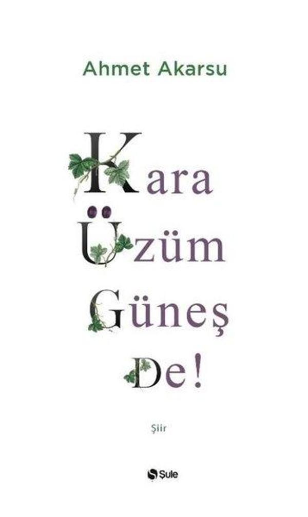 Kara Üzüm Güneş De! - Şule Yayınları - Image 1