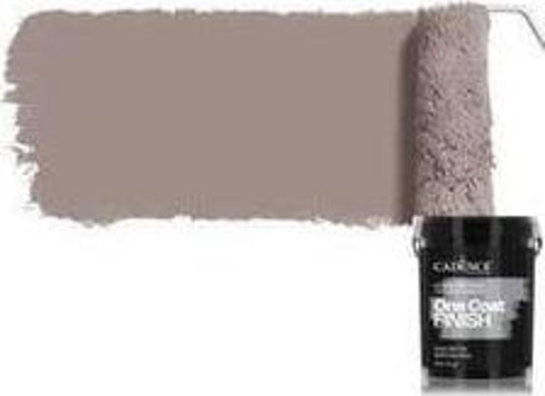 ONE COAT FINISH AKRİLİK İÇ CEPHE BOYASI OCF-21 AKÇAAĞAÇ 2.5LT - Image 1