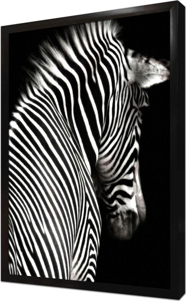 Tablosan Yakın Çekim Zebra Çerçeveli Mdf Tablo - Image 1