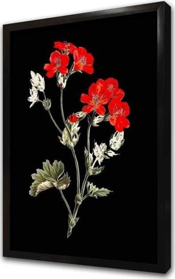 Tablosan Siyah Zeminde Kırmızı Çiçek Iı Çerçeveli Mdf Tablo - Image 1