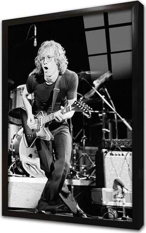 Tablosan Warren Zevon Çerçeveli Cam Tablo - Image 1
