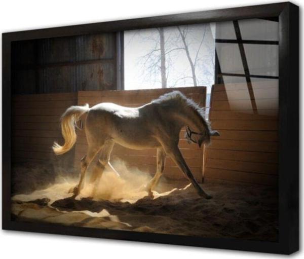 Tablosan Çiftlikte At Çerçeveli Cam Tablo 50x70 cm - Image 1