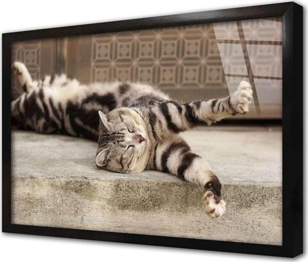 Tablosan Kedi Çerçeveli Cam Tablo 30x40 cm - Image 1