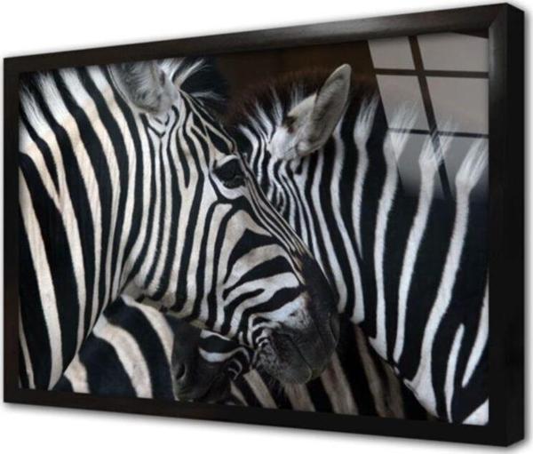 Tablosan Yakın Çekim Zebra Çerçeveli Cam Tablo 60x90 cm - Image 1