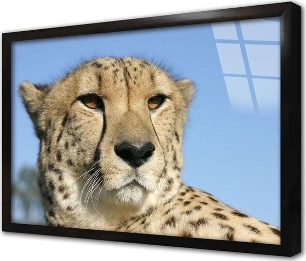 Tablosan Vahşi Doğa Kaplan Çerçeveli Cam Tablo 30x40 cm - Image 1
